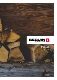 poeles_a_bois_tendances_auhtentiques