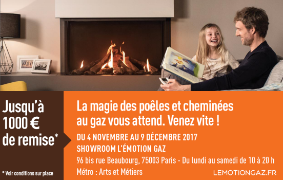 Jusqu'à 1000€ de remise sur votre poêle à bois !