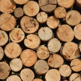 wood-stock