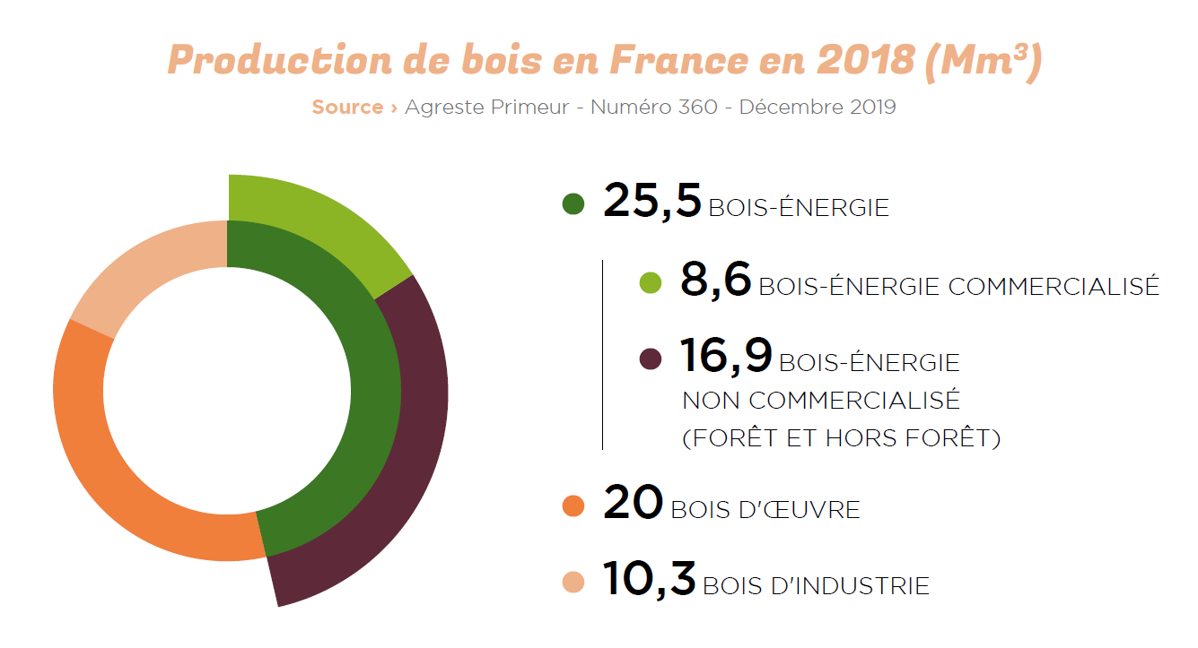 production de bois en France 