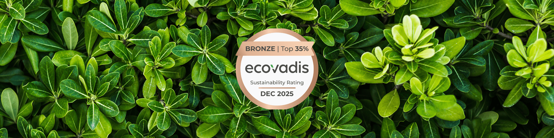 Médaille EcoVadis Bronze