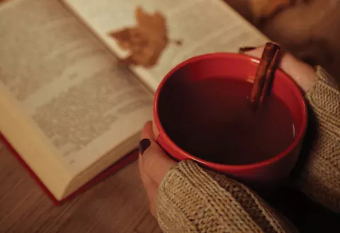 How to choose the ideal pellet stove for optimal comfort and energy savings