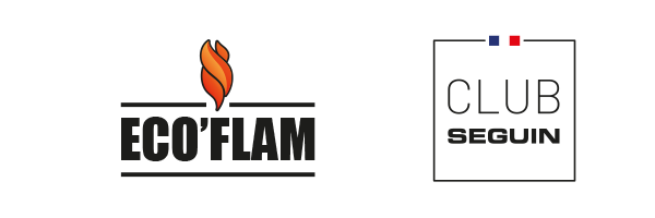 Logo Concept Eco Flam