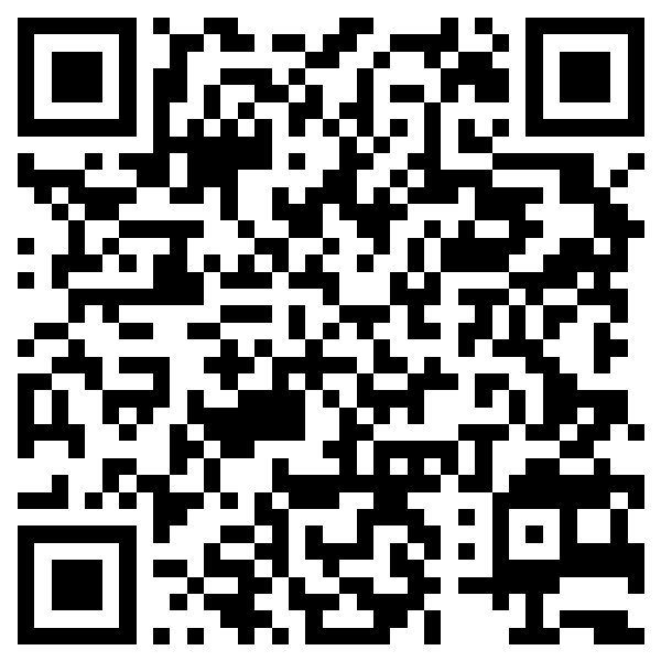 QR Code Maxi 4