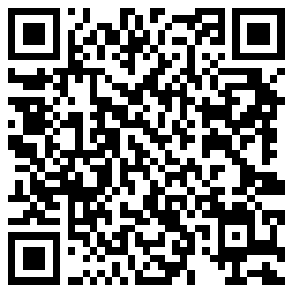 QR Code Maxi 6