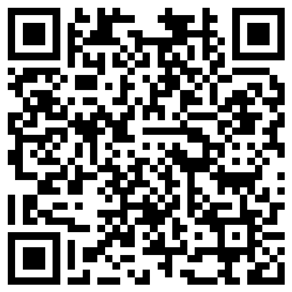 QR Code mini 2