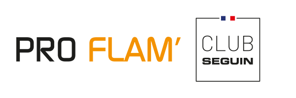 Logo PRO FLAM'