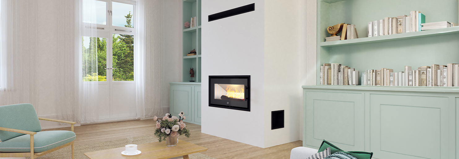 Inserts and fireboxes